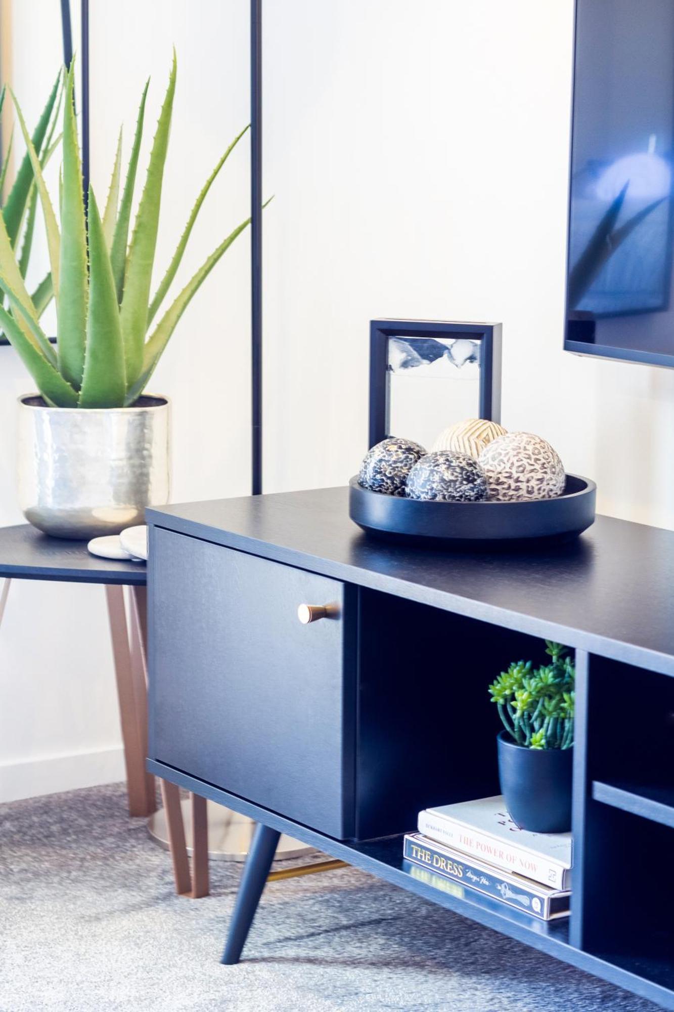 Central City Charm: Pet-Friendly Studio Christchurch Eksteriør bilde
