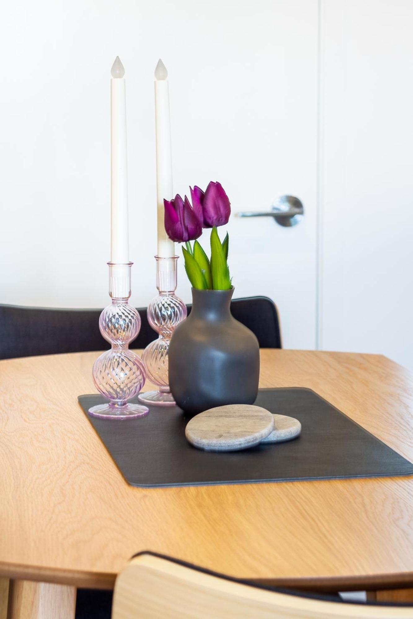 Central City Charm: Pet-Friendly Studio Christchurch Eksteriør bilde